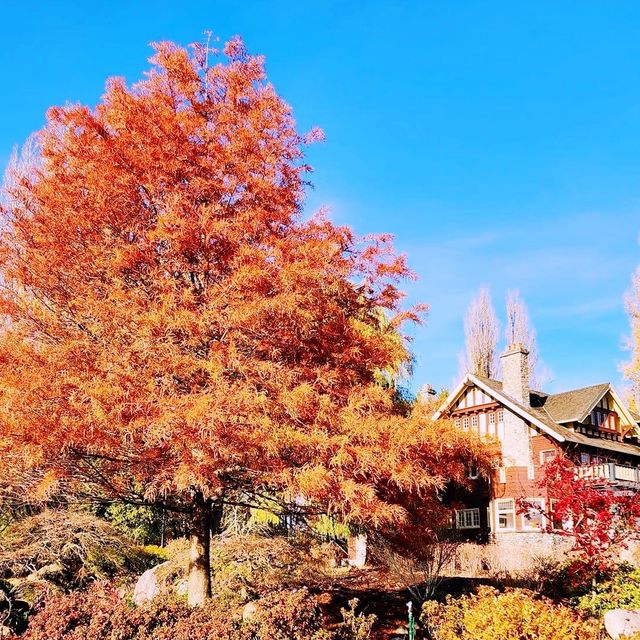 Colorful autumn at Deer Lake Park 