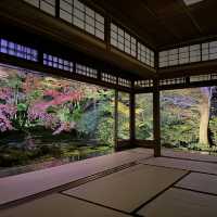 【京都】絶景！瑠璃光院の紅葉