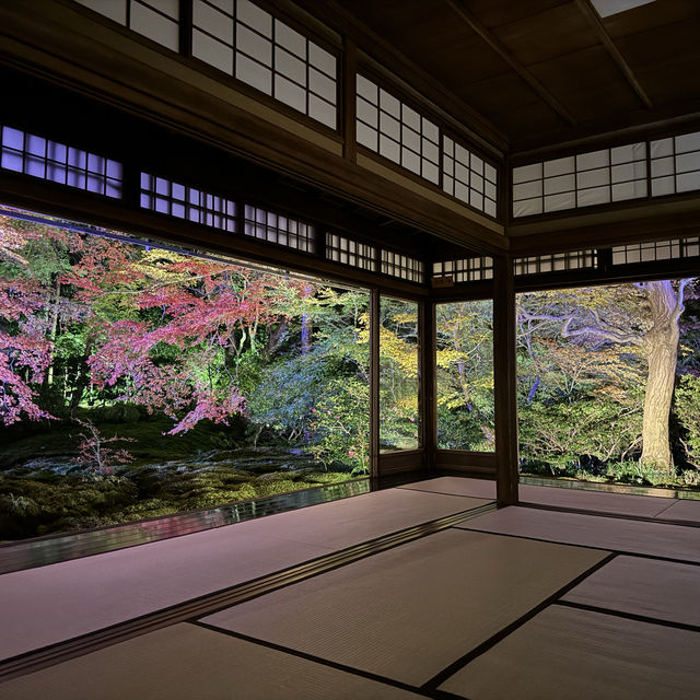 【京都】絶景！瑠璃光院の紅葉