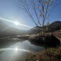 Dayang South Korea in Autumn