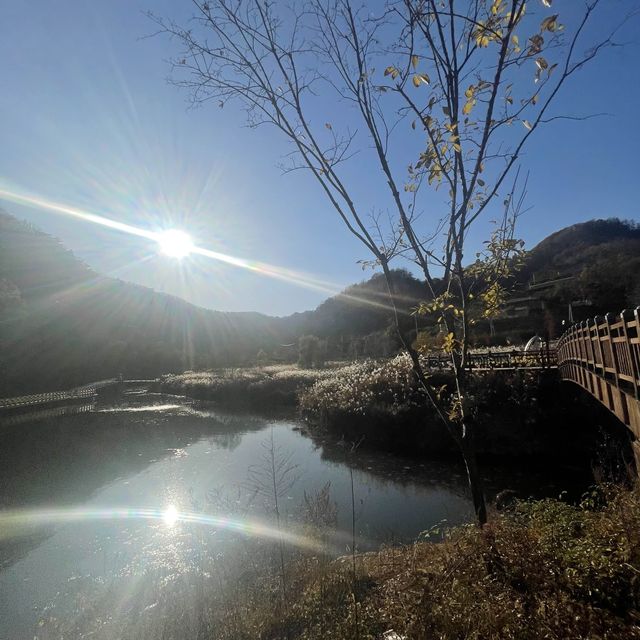 Dayang South Korea in Autumn