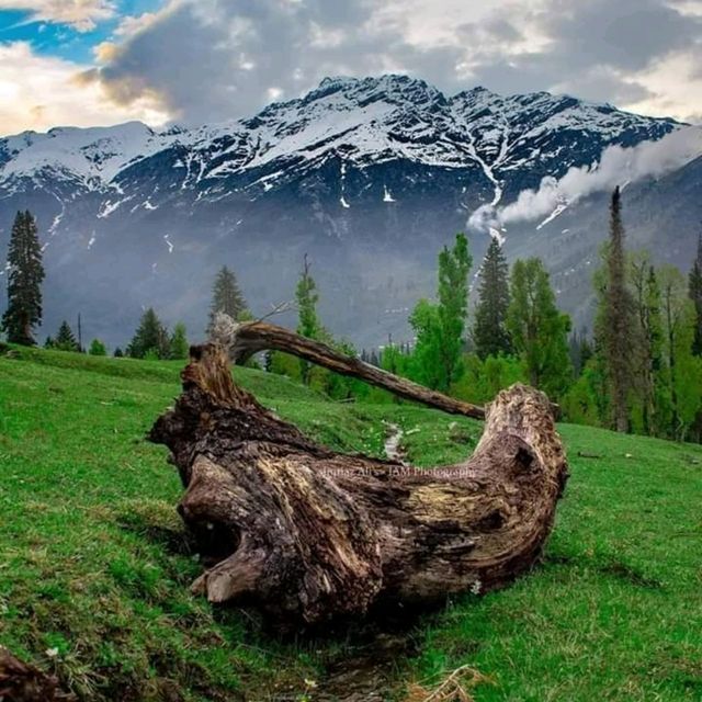 A side view of Kashmir 