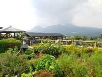 Wax figure and landscape museum in Malang