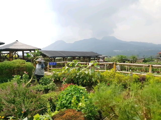 Wax figure and landscape museum in Malang