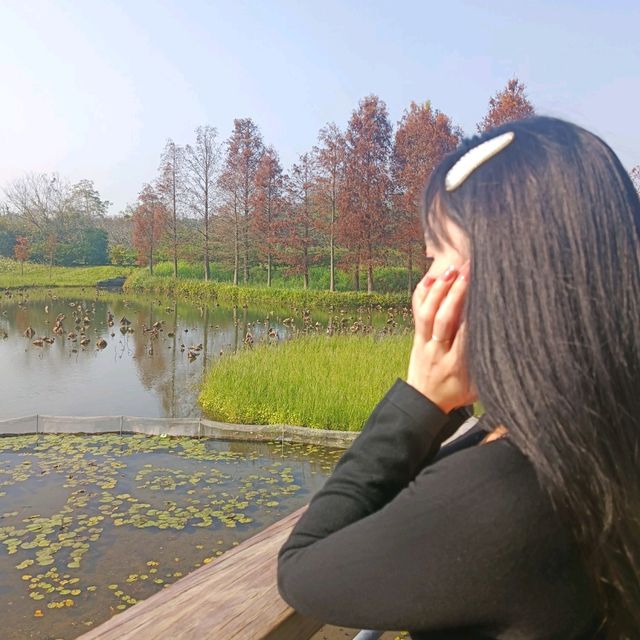 香港濕地公園