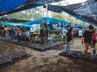 งานรักษ์เหลืองจันท์ ประจำปี 2566 