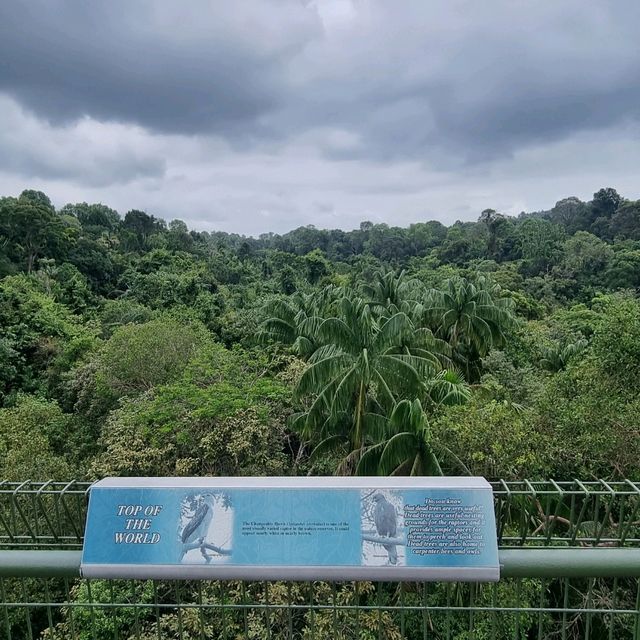 Top Of The World at Jelutong Tower