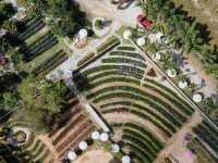 Songkhla Flower Farm ... หาดใหญ่ จ.สงขลา
