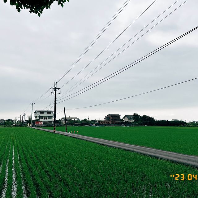 斑比山丘🦌🥕｜台灣版奈良@真·自由行（公交篇）