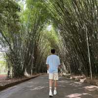 Relaxing green and family park in Sao Paolo!