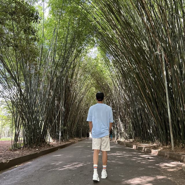 Relaxing green and family park in Sao Paolo!