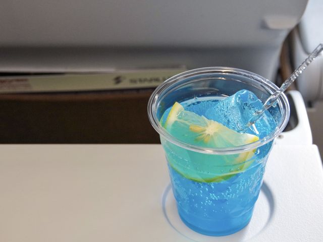【JX】台北→成田 エコノミークラス✈️