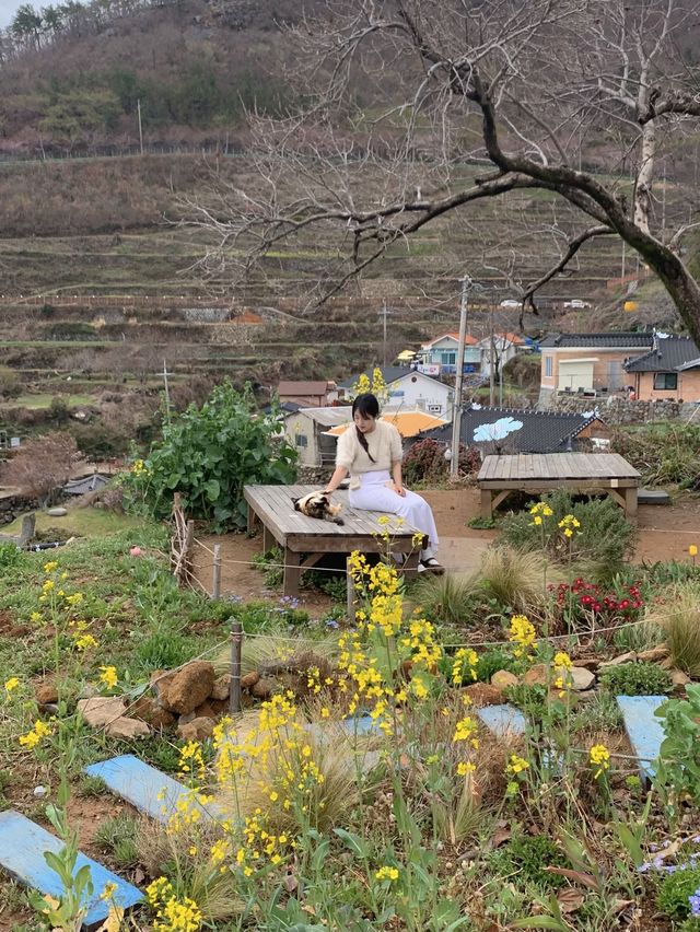 🌷봄에 남해에서 제일 이쁜 카페🌷
