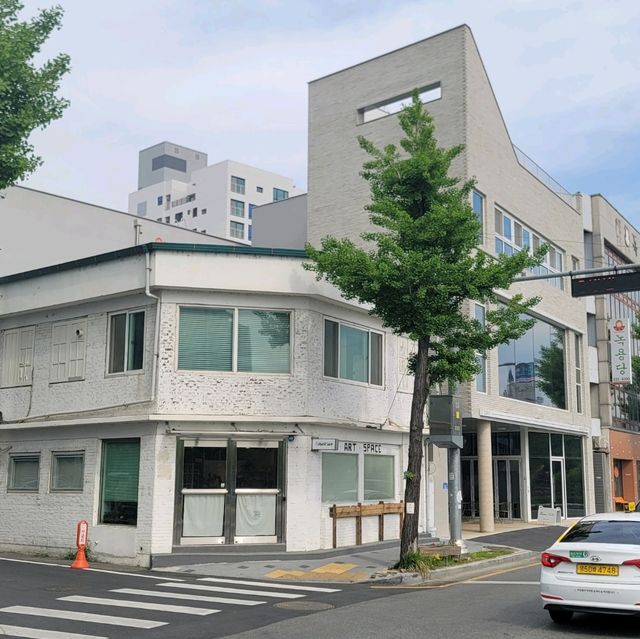 예쁜 식물들을 많이 볼 수 있는 볕좋은 대전 감성 카페 프롬더코너