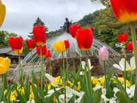 สวนสาธารณะกิฟุ (Gifu Park)🌳🌿