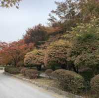 가을 단풍 여행의 명소, 내장사
