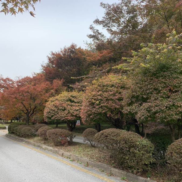 가을 단풍 여행의 명소, 내장사