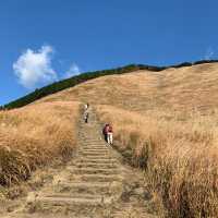 曽爾高原