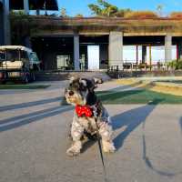 รีวิว โรงแรม The Paz Khaoyai 