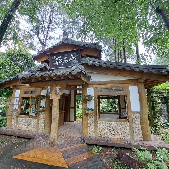 韓國南怡島📸周邊遊覽分享😍熱門景點: 冬季戀歌場地✨