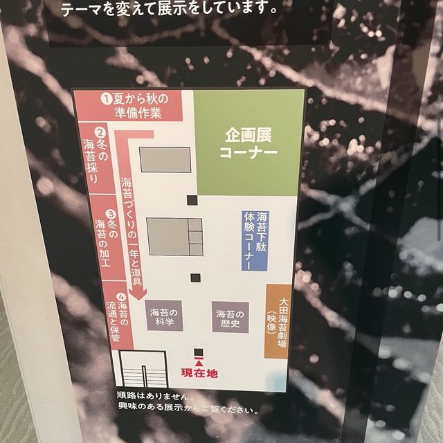 Interesting Seaweed Museum 