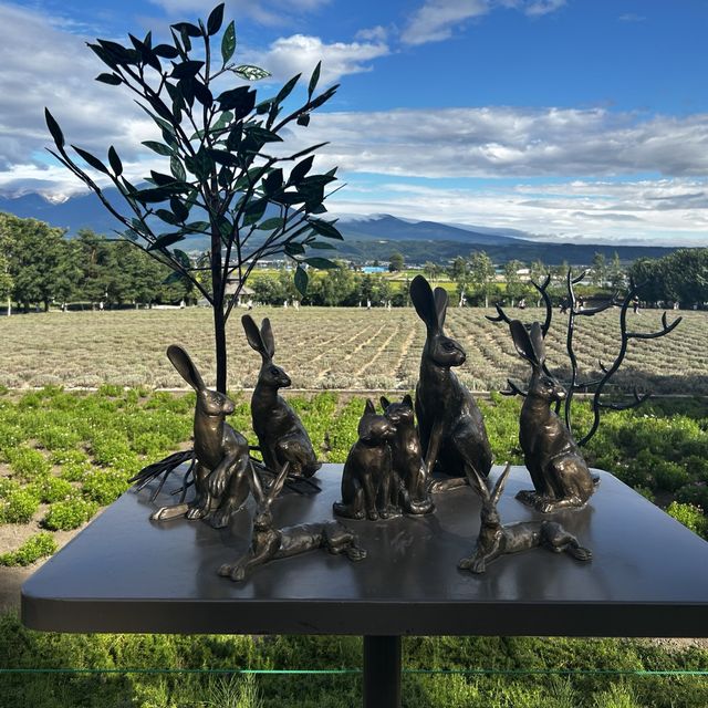 Tomita farm 