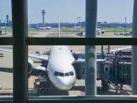 【NH】羽田→ニューヨーク ファーストクラス✈️