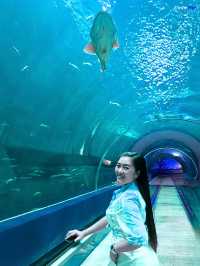 อควาเรียมบางแสน🐠🦀🪼 : ที่เที่ยวบางแสน
