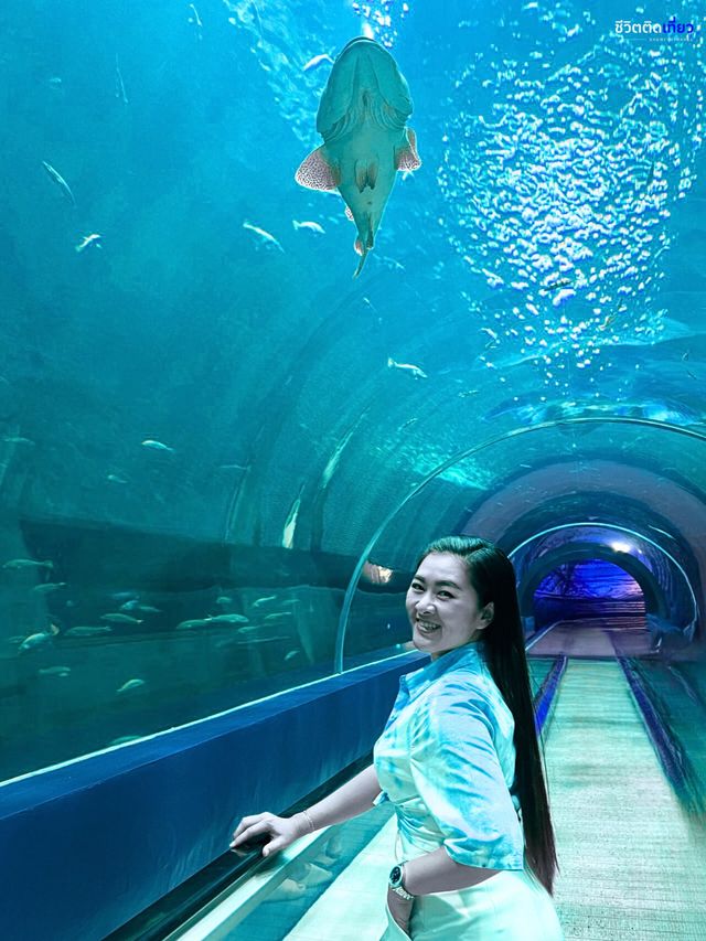 อควาเรียมบางแสน🐠🦀🪼 : ที่เที่ยวบางแสน