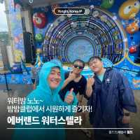 워터밤 노노🙅‍♂️ 에버랜드 워터스텔라에서 시원하게 즐기자!