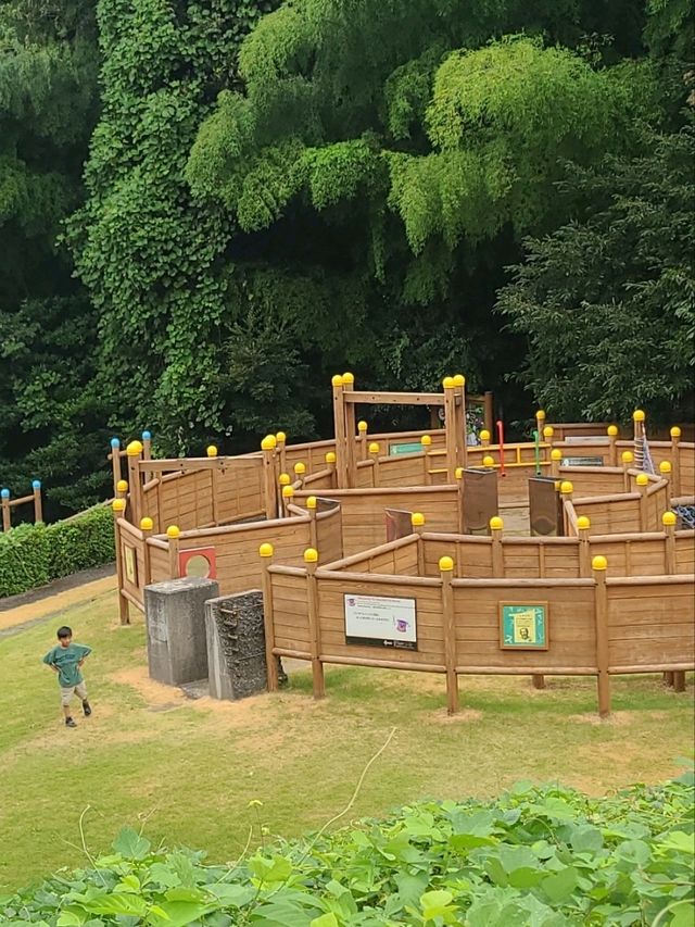 【福井】科学館の公園が広い！
