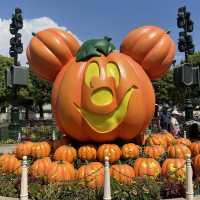 🎃迪士尼樂園南瓜處處迎接萬聖節🎃