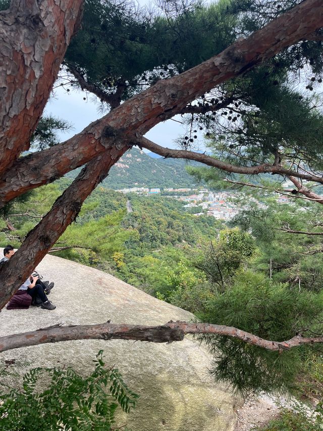 가을에는 역시 등산! 종로에 위치한 인왕산 ✨