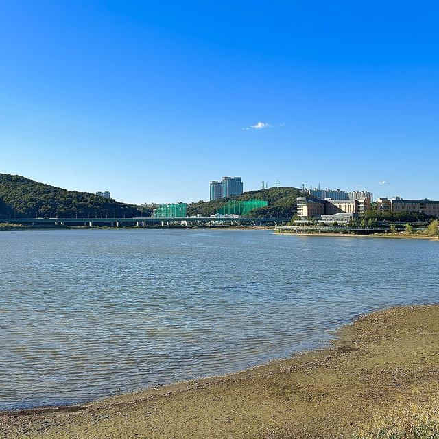 서울근교 호수공원, “용인기흥호수공원”🩵