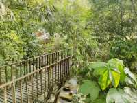 Tingkat Valley