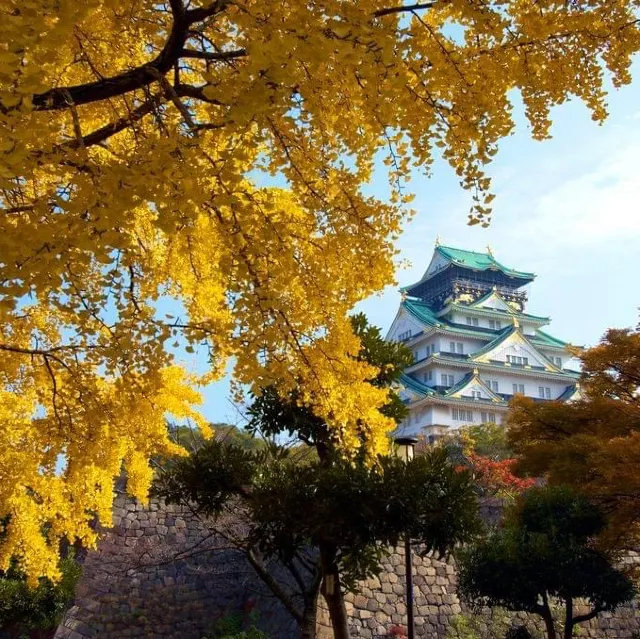 日本楓葉景點|大阪賞楓 大阪城公園