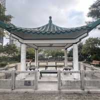 打卡香港訊號山花園