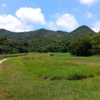 西貢郊遊~西貢郊野公園~好山好水好心情