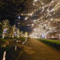 Magical Illuminations at Roppongi