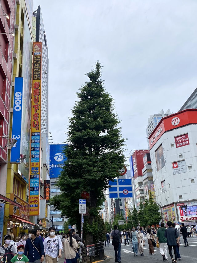 Akihabara สวรรค์ของเหล่าโอตาคุ