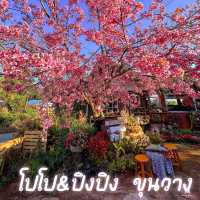 โปโป&ปิงปิง  ขุนวาง