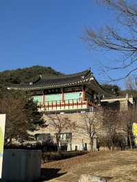 국내여행 추천지! 양평 “용문사”, “두물머리”