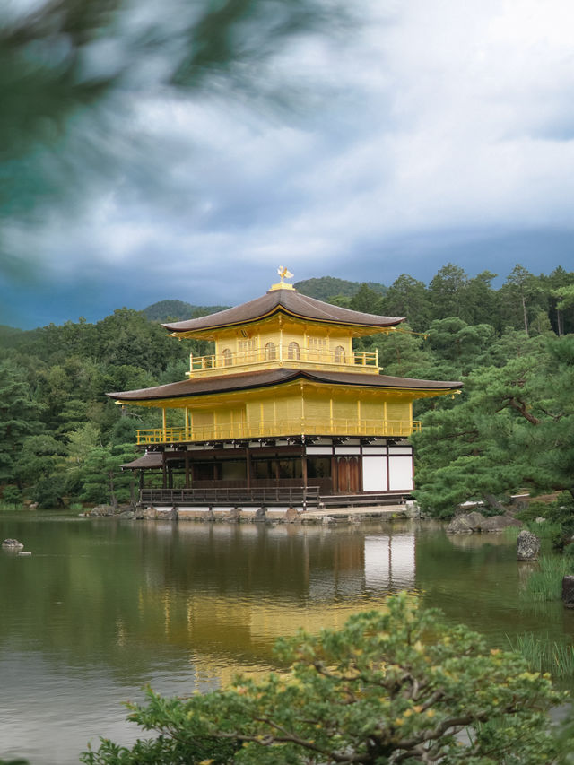 京都 | 朝聖金碧輝煌嘅金閣寺🤩