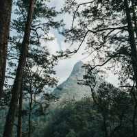 ⛰️ ดอยหลวงเชียงดาวคนเดียว มันก็ไม่ได้แย่นิ่ 😊