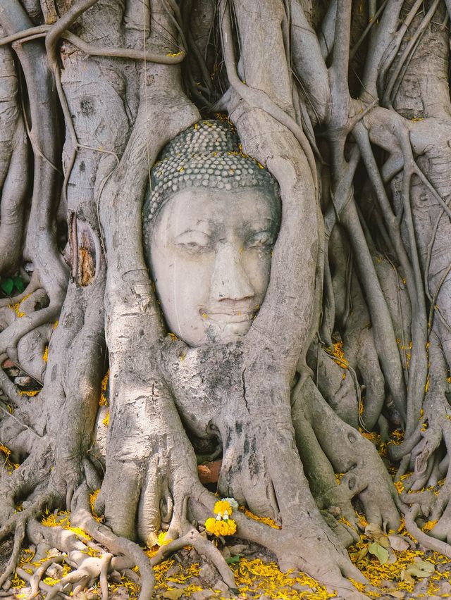 Discovering Ayutthaya’s Ancient Grandeur