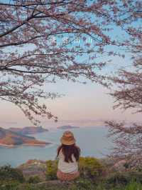 【香川】世界の訪れるべき52ヶ所にも選ばれた！四国を代表する絶景桜スポット！