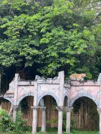 峇里親子遊❤️最大動物園😳Bali Safari and Marine Park🙈