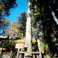 【長野県/下諏訪　全国に2.5万社ある諏訪神社の総本社『諏訪大社』の１つ⛩️】