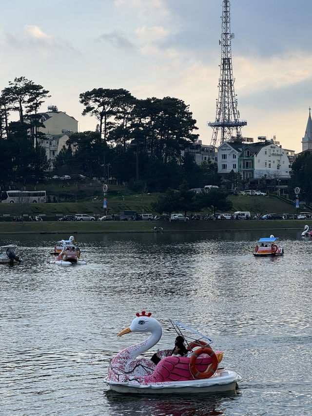 달랏 쑤언흐엉호수에서 오리배 타기🐤