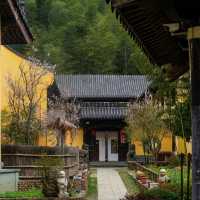 應因寺～心靈啟迪